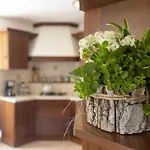 公寓 Casa Rita Ap- 1 - Gardasee - By Interhome *