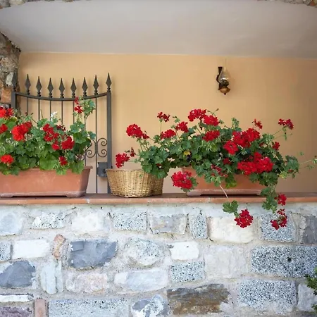 Casa Rita Ap- 1 - Gardasee - By Interhome Vesta